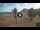 Webcam in Playa de las Teresitas (Tenerife), 7.8 km
