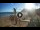 Webcam in Playa de Las Teresitas (Ténérife), 506.1 km