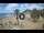 Webcam in Playa de Las Teresitas (Tenerife), 3.1 mi away