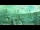 Webcam in Cannes, 14.1 km entfernt