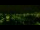 Webcam in Cannes, 5.5 mi away