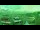 Webcam in Cannes, 5.5 mi away