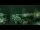 Webcam in Cannes, 0 km entfernt