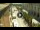 Webcam in Floriana, 0.3 km entfernt