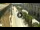 Webcam in Floriana, 1.6 km