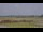 Webcam in Atting, 20.3 km