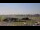 Webcam in Atting, 14.2 mi away
