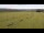 Webcam in Großbreitenbach, 11.6 km