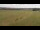 Webcam in Großbreitenbach, 9.1 km