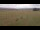 Webcam in Großbreitenbach, 16.4 km entfernt