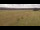 Webcam in Großbreitenbach, 3.2 mi away