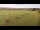 Webcam in Großbreitenbach, 3.2 mi away
