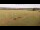 Webcam in Großbreitenbach, 7.5 mi away