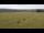Webcam in Großbreitenbach, 3.2 mi away