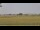Webcam in Stetsonville, Wisconsin, 169.4 km
