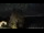 Webcam in Stetsonville, Wisconsin, 158.8 km