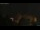 Webcam in Seiffen, 5 mi away