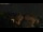 Webcam in Seiffen, 0.2 km entfernt