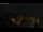 Webcam in Seiffen, 12.9 km