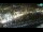 Webcam in Makarska, 5.5 km