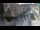 Webcam in Dubrovnik, 3.8 km entfernt