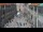 Webcam in Dubrovnik, 27.7 mi away