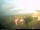 Webcam on Baltrum, 0.2 mi away