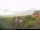 Webcam su Baltrum, 0 km