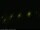 Webcam on Baltrum, 2.7 mi away