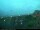 Webcam in Baltrum, 0.8 km