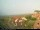 Webcam in Baltrum, 7.1 km