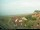 Webcam in Baltrum, 23.7 km