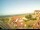 Webcam on Baltrum, 0 mi away