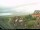 Webcam on Baltrum, 0.2 mi away