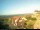 Webcam auf Baltrum, 0.5 km entfernt