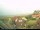 Webcam su Baltrum, 9.1 km