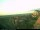 Webcam auf Baltrum, 7.1 km entfernt