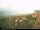 Webcam su Baltrum, 5 km