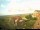 Webcam su Baltrum, 0.4 km