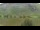 Webcam in Bernkastel-Wehlen, 49.1 km