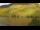 Webcam in Bernkastel-Wehlen, 49.1 km