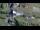 Webcam in Bernkastel-Wehlen, 8 mi away
