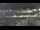 Webcam in Sottomarina, 9.1 mi away