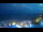 Webcam in Caorle, 0.3 km