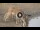 Webcam al South Luangwa National Park, 1541.3 km