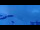 Webcam in Lauterbrunnen, 2.4 mi away