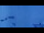 Webcam in Lauterbrunnen, 1.8 mi away