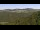 Webcam in Untergriesbach, 4.8 mi away