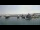 Webcam in Antibes Juan-les-Pins, 9 km entfernt