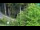 Webcam in Lukanja, 25.4 km